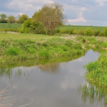 River Eden - Gabriels Fishery, Kent