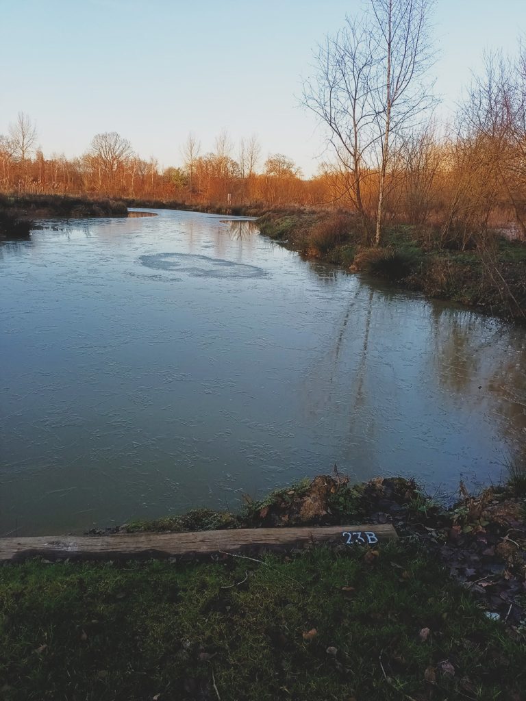 Swim position on our carp fishing lake Admiral - Gabriels Fishery in Kent